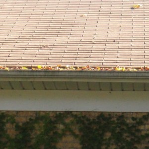 side2