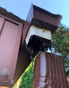 repair detached downpipe